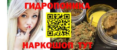 сатива Краснодар
