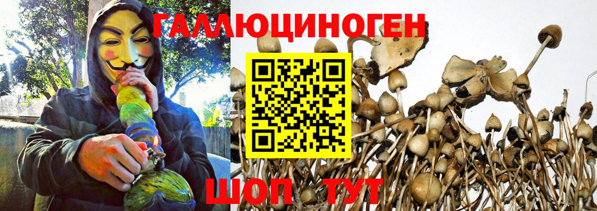 Галлюциногенные грибы GOLDEN TEACHER  Вход с VPN  Коломна 
