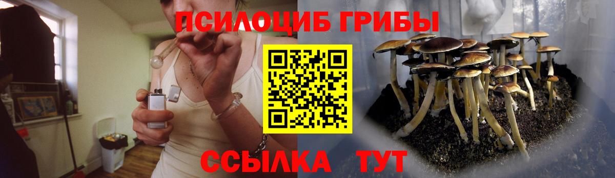 Галлюциногенные грибы GOLDEN TEACHER Коломна